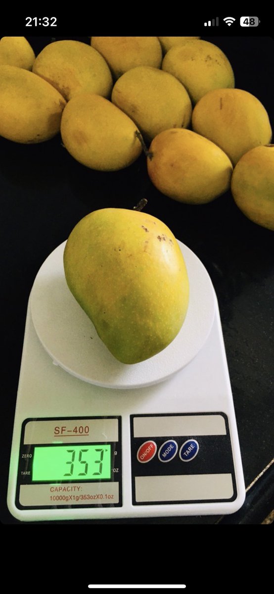 whoami_vim's tweet photo. @Ravisutanjani We measure in "dozen" unit; never heard mangoes measured in kilograms.
1 #Haapus / #Alphonso #Mango fruit from #Devgad, Konkan, #Maharashtra will be 320 - 400 grams.
Sold in boxes we say "peti"
1 peti can have 3-6 dozens of mangoes.
1 dozen mangoes price range 400-900 INR https://t.co/NVNTpt13HK