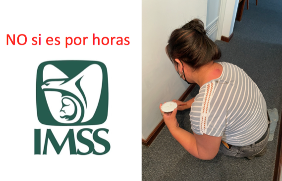FierroGossman's tweet photo. No sólo la población discrimina a 35% de las trabajadoras del hogar (casi 6% más que en 2017), sino que no tienen derecho a inscribirse al Seguro Social voluntario, si sólo trabajan por horas. 
¡También el estado las discrimina!
!El IMSS Bienestar todavía no funciona para nadie! https://t.co/0LTVwRWpBy