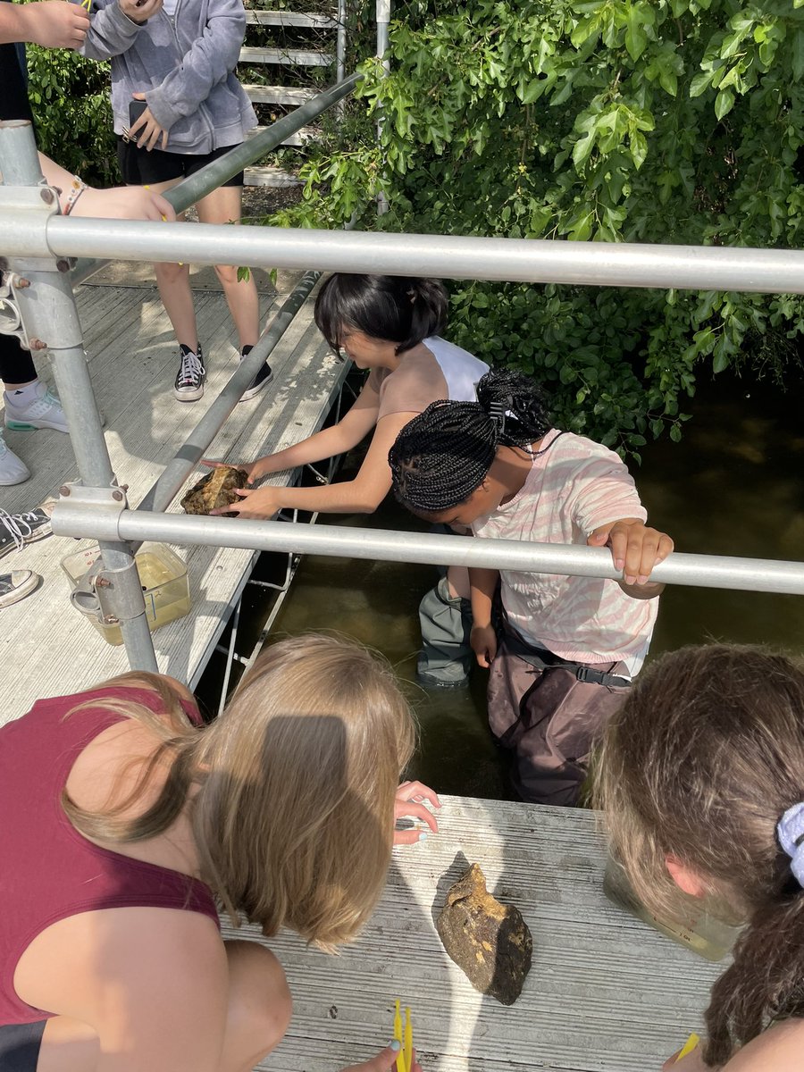 coachbasford's tweet photo. Freshman Pre-AP Biology Students from Auburn are exploring and testing the Rock River with @BurpeeMuseum today! @KefferPrincipal @RPS205 @rps205super https://t.co/TzPqeJ0hGA
