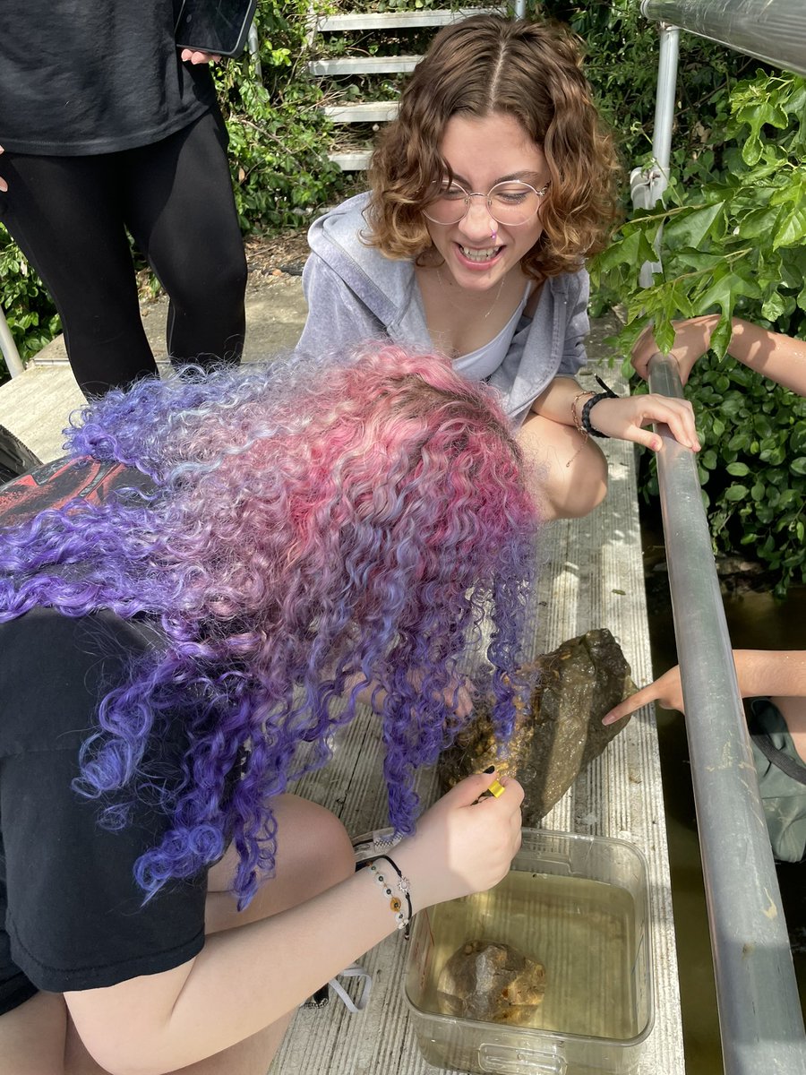 coachbasford's tweet photo. Freshman Pre-AP Biology Students from Auburn are exploring and testing the Rock River with @BurpeeMuseum today! @KefferPrincipal @RPS205 @rps205super https://t.co/TzPqeJ0hGA