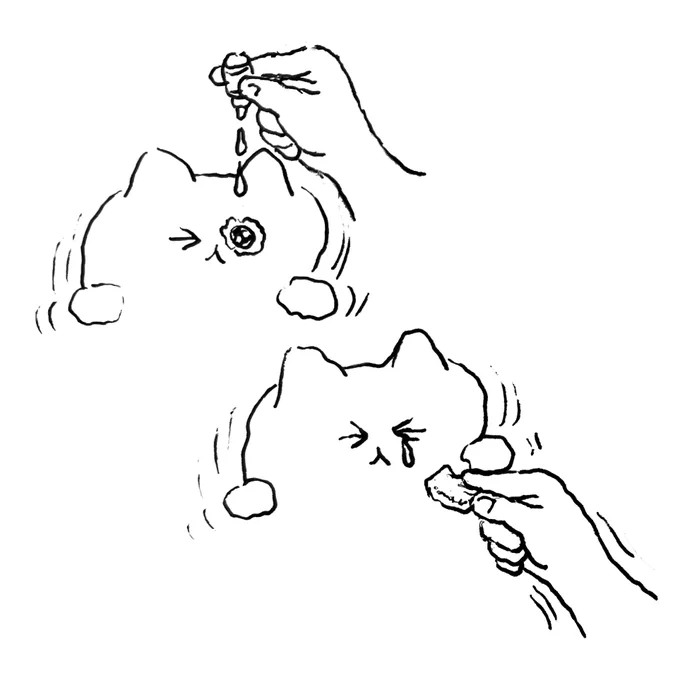 ねこ 