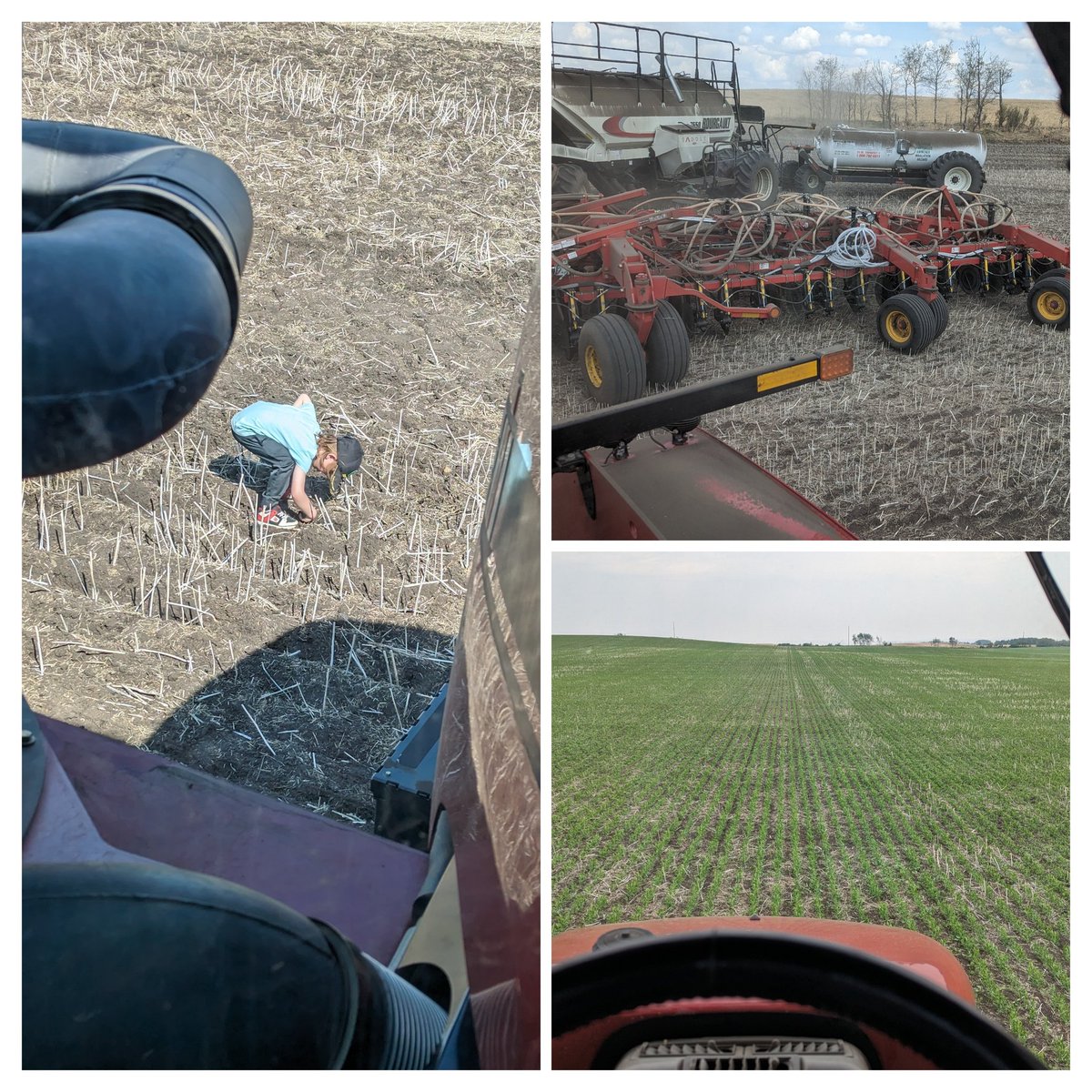 Good thing B set the depth, peas look good <a href="/BourgaultAg/">Bourgault Industries</a> #plant23.