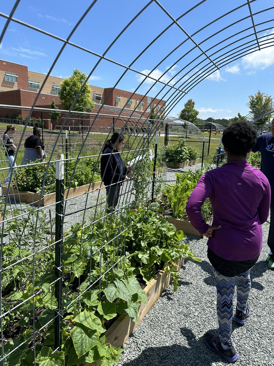 Sarah_Gamsey's tweet photo. So much fun exploring and identifying plants in the @WillowSpringHS garden! Thank you Ms.Beck! @WillowSpringFFA https://t.co/HIRRYzpKU7