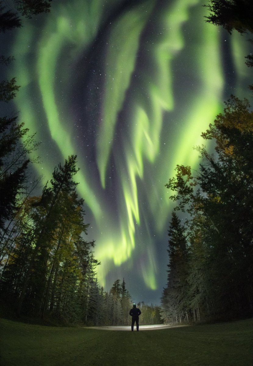 offbeat_photo's tweet photo. Our next NIGHTS OF WONDER aurora workshop is coming up this September with the fantastic Kris Andres and Kahli April! Join us in Yellowknife September 22-24, 2023 → https://t.co/lXdxyiqYGa

Photo: Paul Zizka https://t.co/Hk1IONasEY
