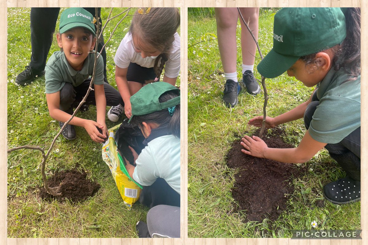 AdamsdownEC's tweet photo. Eco Council are working hard to protect our trees donated by @CoedCaerdydd https://t.co/TqRKyfVPpm