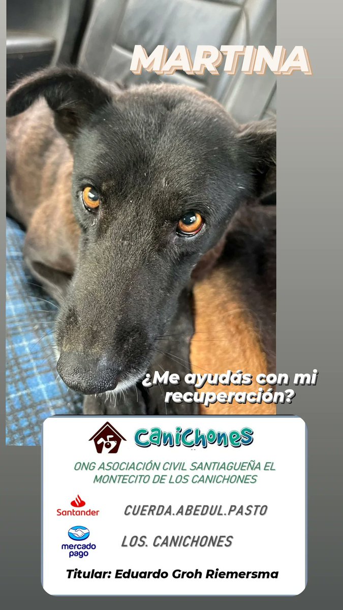 aaguvolpato's tweet photo. Empezando por radiografías y medicación, sus gastos van a ser varios, si te gustaría colaborar con ella, toda ayuda es bienvenida e importantisima. Gracias 🌟🌟 https://t.co/eCfEGcwI7b
