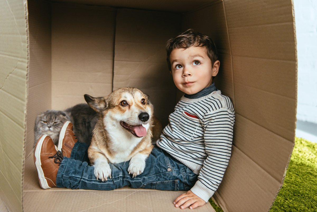 SmartHealthPay's tweet photo. An immediate credit line for health and veterinary expenses with benefits to each cardholder at no additional cost: https://t.co/LBnbG3QFK5

#health #healthcare #healthy #wellness #healthtech #healthcosts #veterinarycare #vet #veterinarian #veterinaryclinic #veterinarymedicine https://t.co/gdDiEANBVg