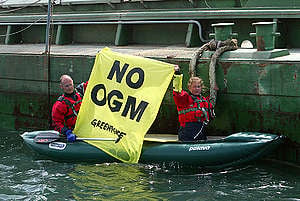 Greenpeace_ITA's tweet photo. Insieme ad altre 36 associazioni chiediamo il ritiro immediato dell'emendamento al DL #Siccità che apre alla sperimentazione in campo dei nuovi #OGM.  Un assurdo colpo di mano! @FrancescoLollo1, la prospettiva di avere cibo OGM “MADE IN ITALY” sulle nostre tavole non è accettabile.
@SenatoAmbiente #Agricoltura @SenatoStampa
👉https://t.co/4iTAn9KQpD