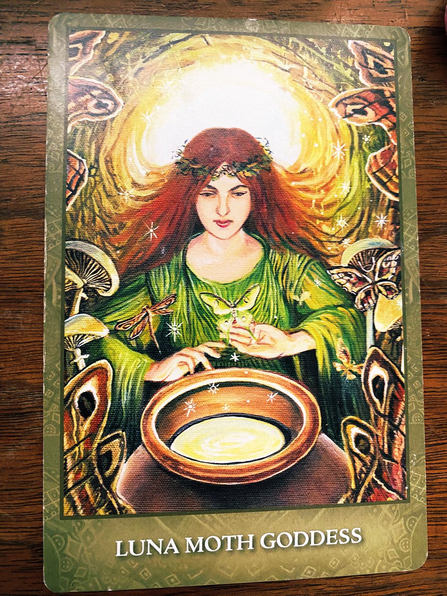 fatimah__moon's tweet photo. Goddess of the day! ~

Luna Moth again! 🍉🥥

slow down for a sec! 
the universe is waiting to deliver to you, but you have to trust and believe it’s yours. 💝 

•findom goddess oracle tarot witch bitch• https://t.co/oQXXyKIb5C