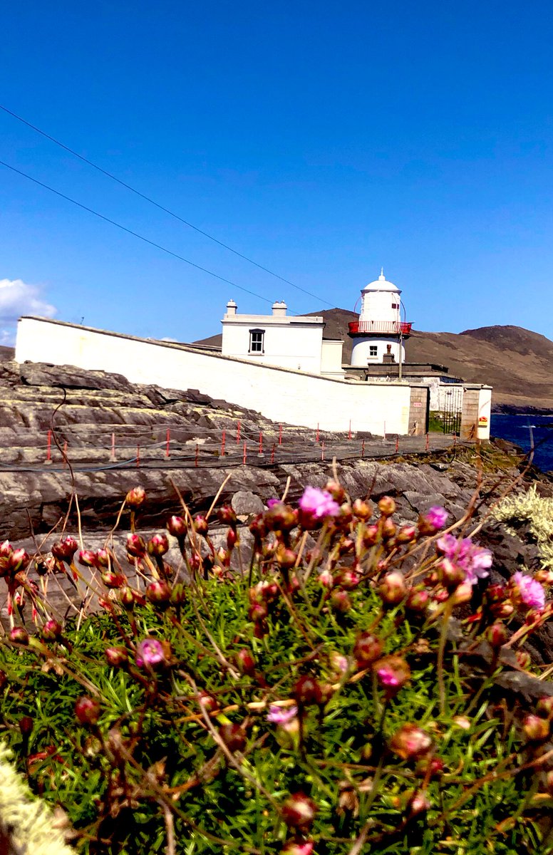TheresaWriter's tweet photo. An island of extraordinary beauty & history. Take a peek inside the Valentia Lightkeeper’s House, built 1910 to accommodate keepers & their families. ‘In true Maritime tradition, everything had to be ‘shipshape.’ #Valentialighthouse #Kerry
#WAWWildAtlanticWay #Ireland 🇮🇪💚 ☘️ https://t.co/GlUOEmD8HM