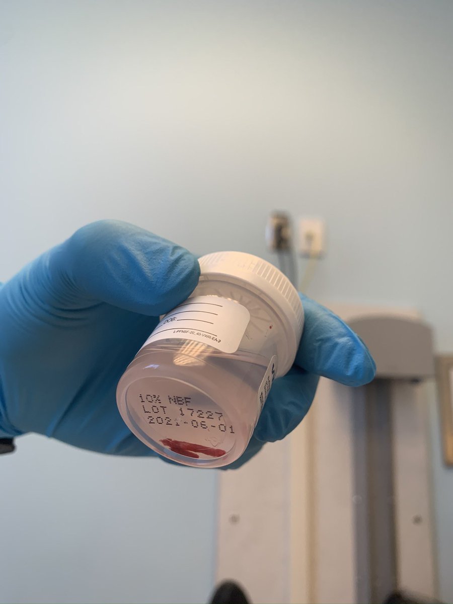 C0ZY.eth tweet media