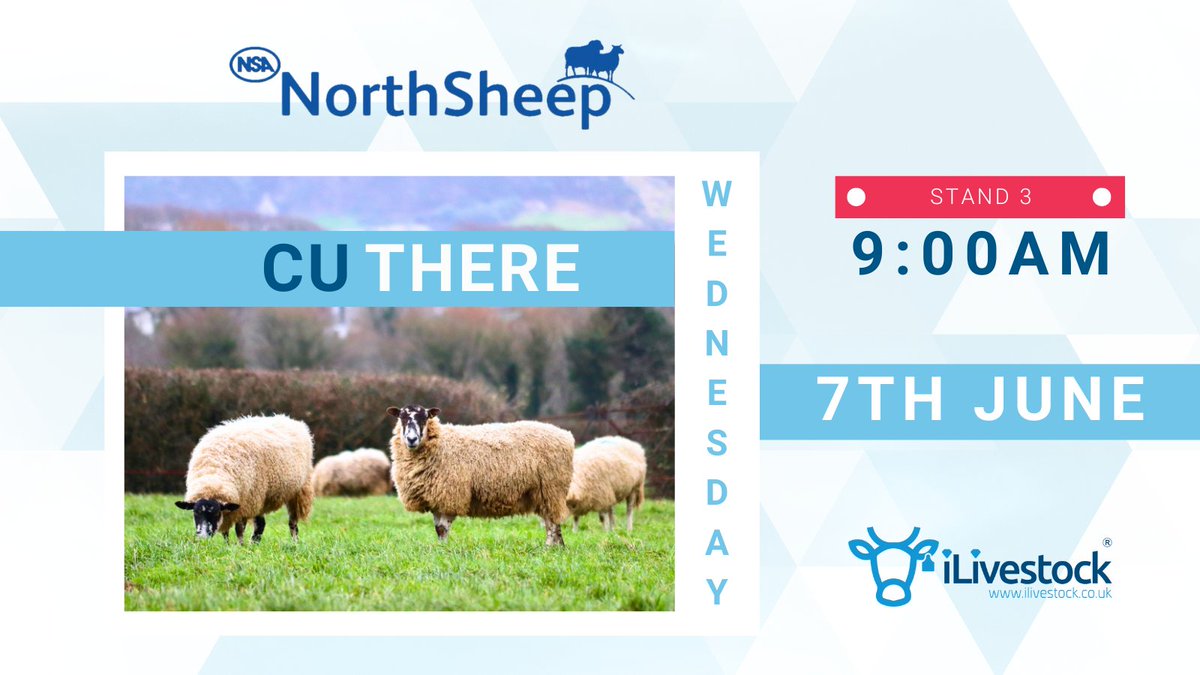 Don't miss the NSA North Sheep event next week 📆

A perfect chance for you to find the best grant scheme package to upgrade your farm equipment, get help with your iLivestock devices, and discover our latest features 🐑📱🚜

#nsanorthsheep #BritishFarming #LivestockManagement