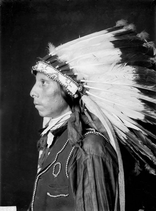 Indigenoususa's tweet photo. .Portrait (Profile) of Sam Pine Bird, Dakota Oglala Interpreter https://t.co/eawd8YIxlY