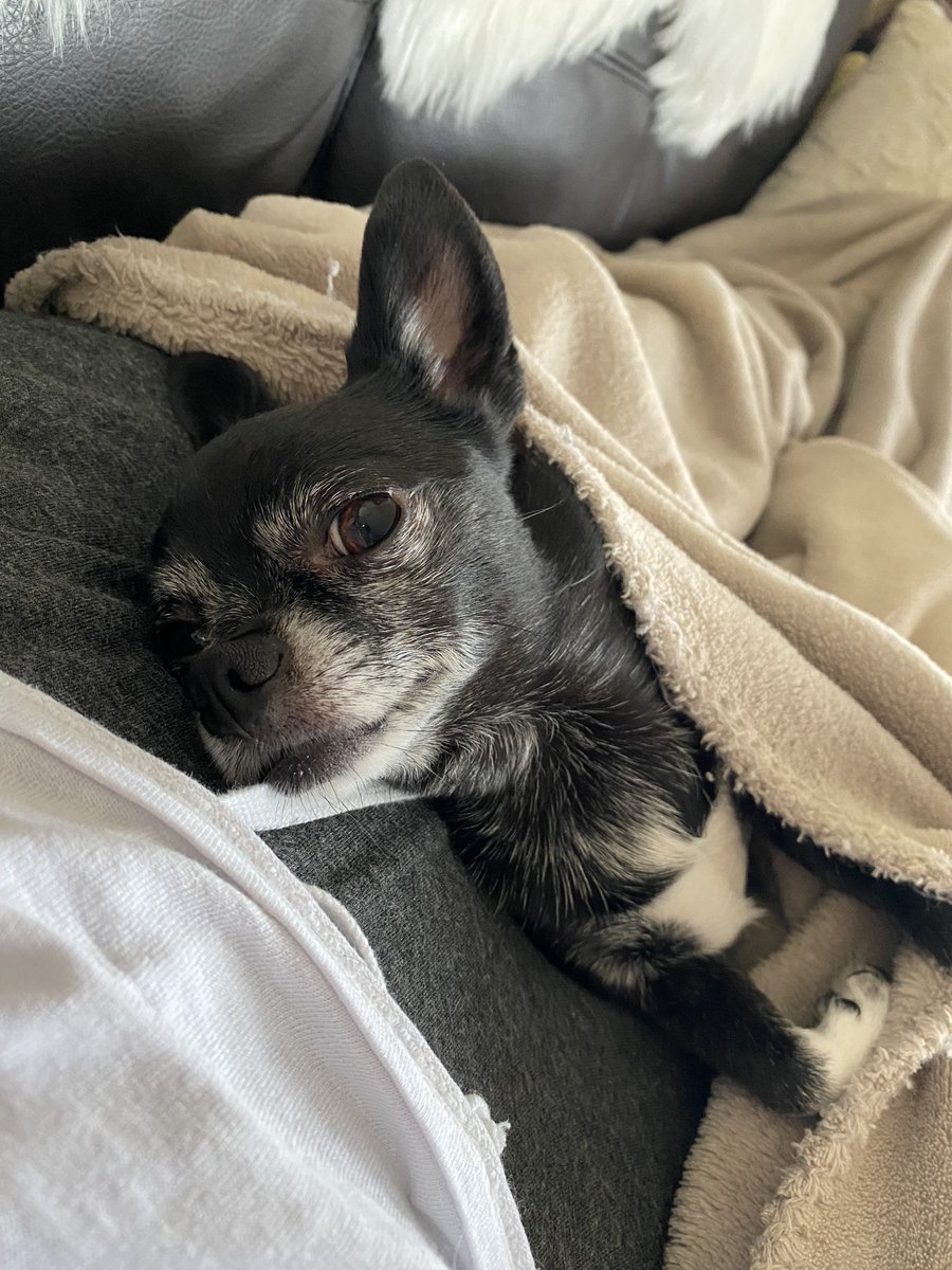 Ryleenova - Best photos on dibujosparaimprimir.net