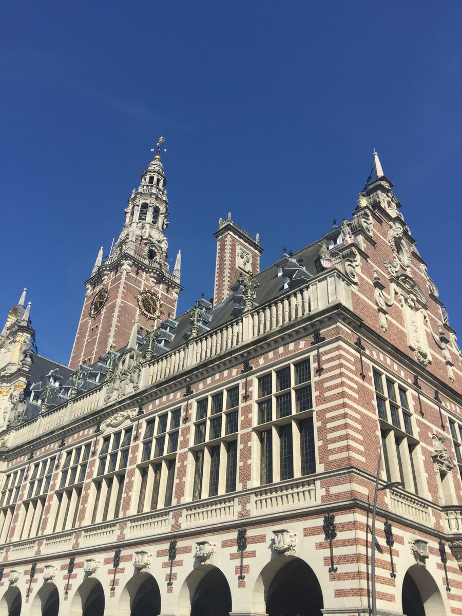 Myfanwy graham tweet media