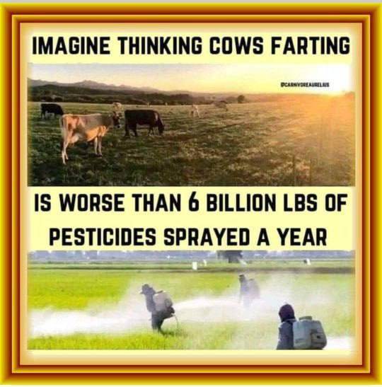 RobinsonWigan's tweet image. Some people have little or no brains if they believe that cows farting is a problem #ClimateScam  A big fat NO to #NetZeroScam