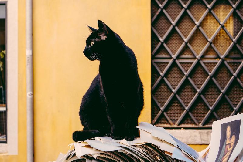 SecurityLabnews's tweet photo. Группа BlackCat взломала платформу Casepoint и опубликовала секреты Министерства обороны ��ША
Данные объёмом 2 ТБ содержат конфиденциальные данные юридических отделов госучреждений.
#BlackCat #Casepoint #USA 
https://t.co/FoEsWBEpUn https://t.co/RARKsxbcBc