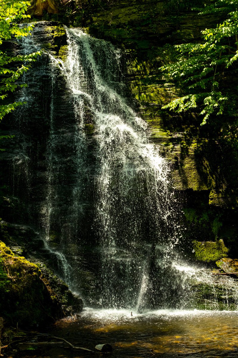 DavidOakill's tweet photo. https://t.co/JBqfHbVTCT
#WATERFALLS #landscapelovers #photooftheday #bushkillfalls #NaturePhotography #Pennsylvania #photography https://t.co/tFT9dDtxWk