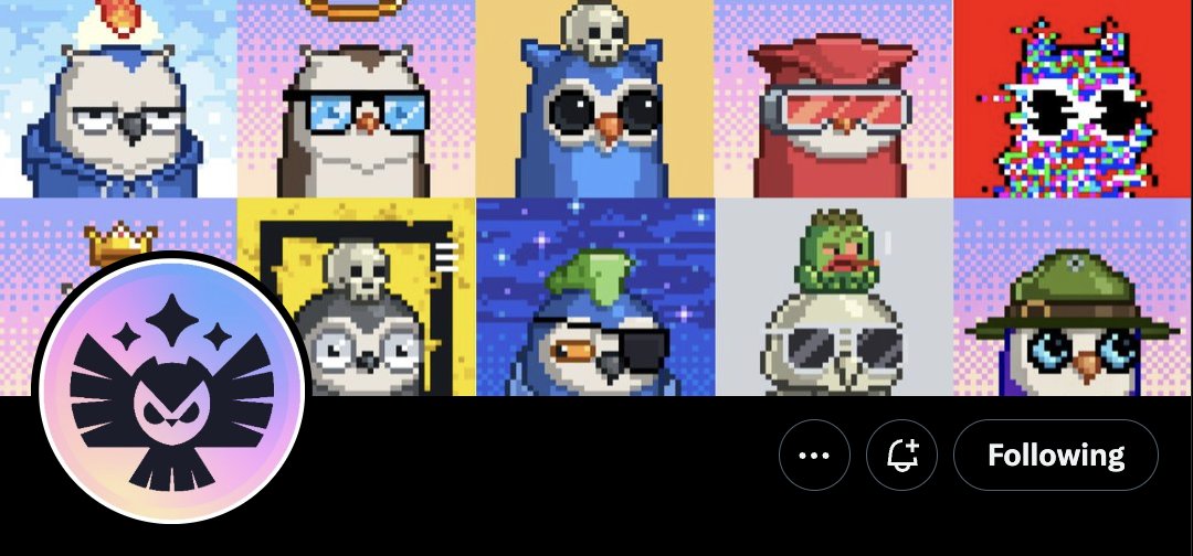 Say hello to your Community Council, comprised of holders who represent both the Moonbird and <a href="/proof_xyz/">PROOF</a> Collective Pass communities.

Follow the brand new <a href="/moonbirdscc/">Moonbirds Community Council</a> for updates, community news, Twitter Spaces and more!🫡

+ Join us today on Discord for the first CC VC!