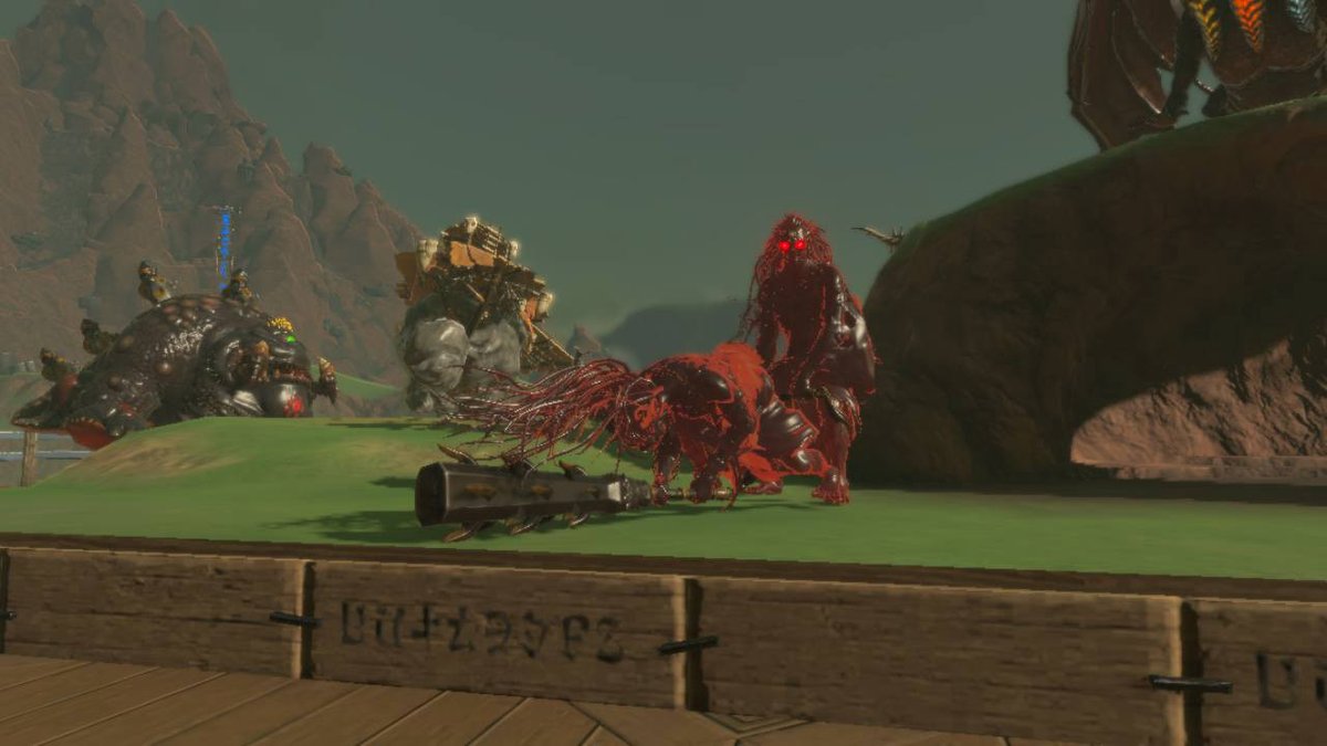 Emerald69310068's tweet photo. You really can do whatever you want in this game #TearsOfTheKingdom #Zelda #NintendoSwitch https://t.co/GOOGGlGhOJ