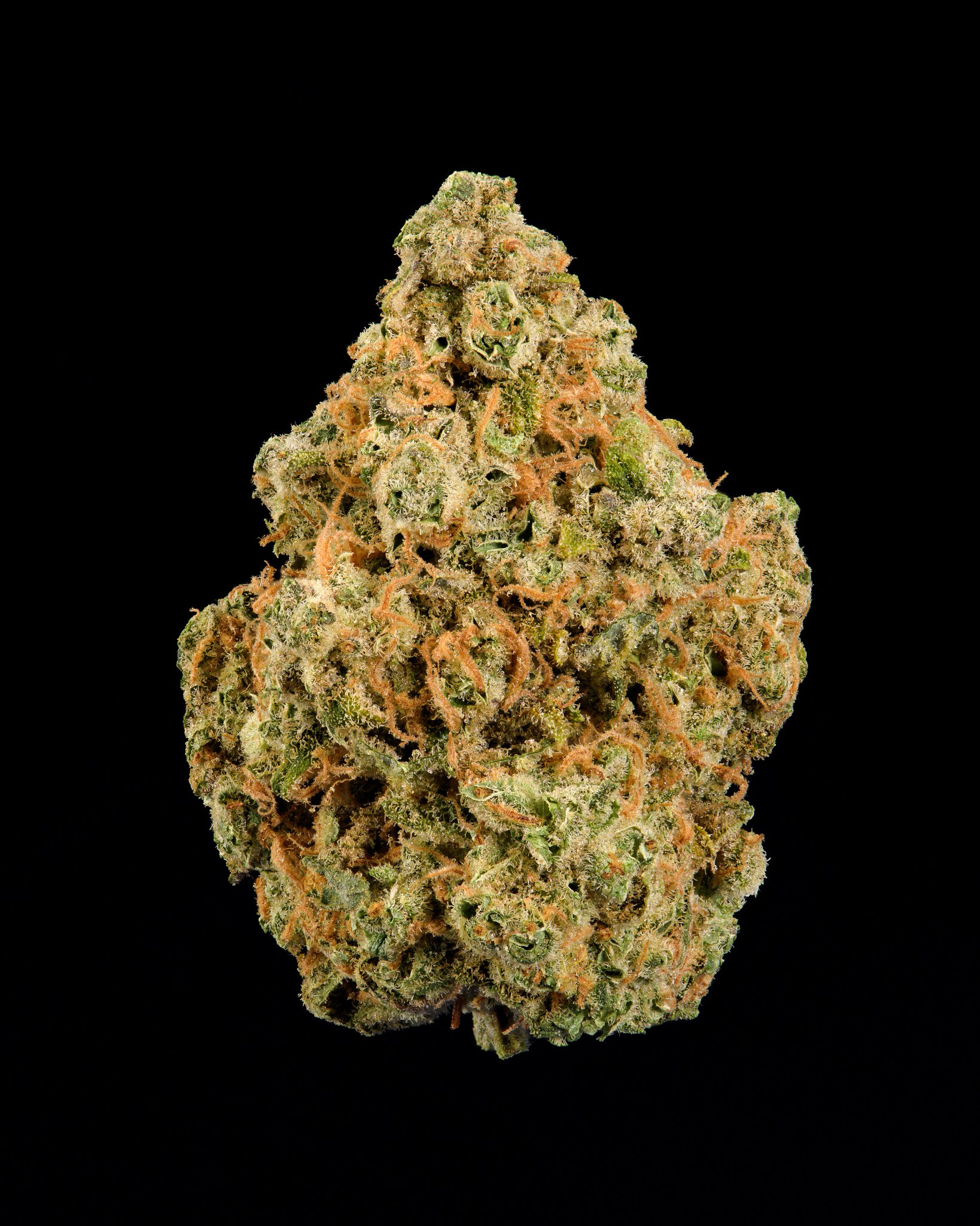 The Lemonnade on Twitter "MadCow grown { TangEray } 🍋🍋🍋 Cactus Cooler