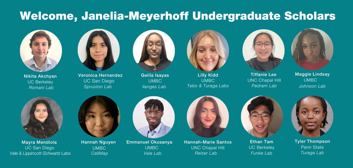 HHMIJanelia's tweet photo. 🎉 We are excited to welcome our 2023 Janelia-Meyerhoff Undergraduate Scholars, who will spend the summer living on campus and conducting research in Janelia labs.

Learn more ➡️ https://t.co/NNmIlu7138 https://t.co/exaNgBaZuz