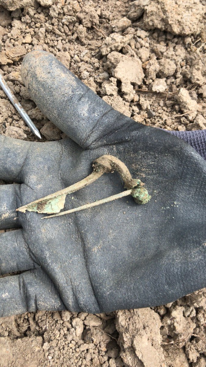 Bij een opgraving bij de #limes in de gemeente #AlphenaandenRijn hebben de #archeologen zeker 20 #fibulae (Romeinse mantelspelden), nog meer bronzen voorwerpen en #Romeins aardewerk gevonden.