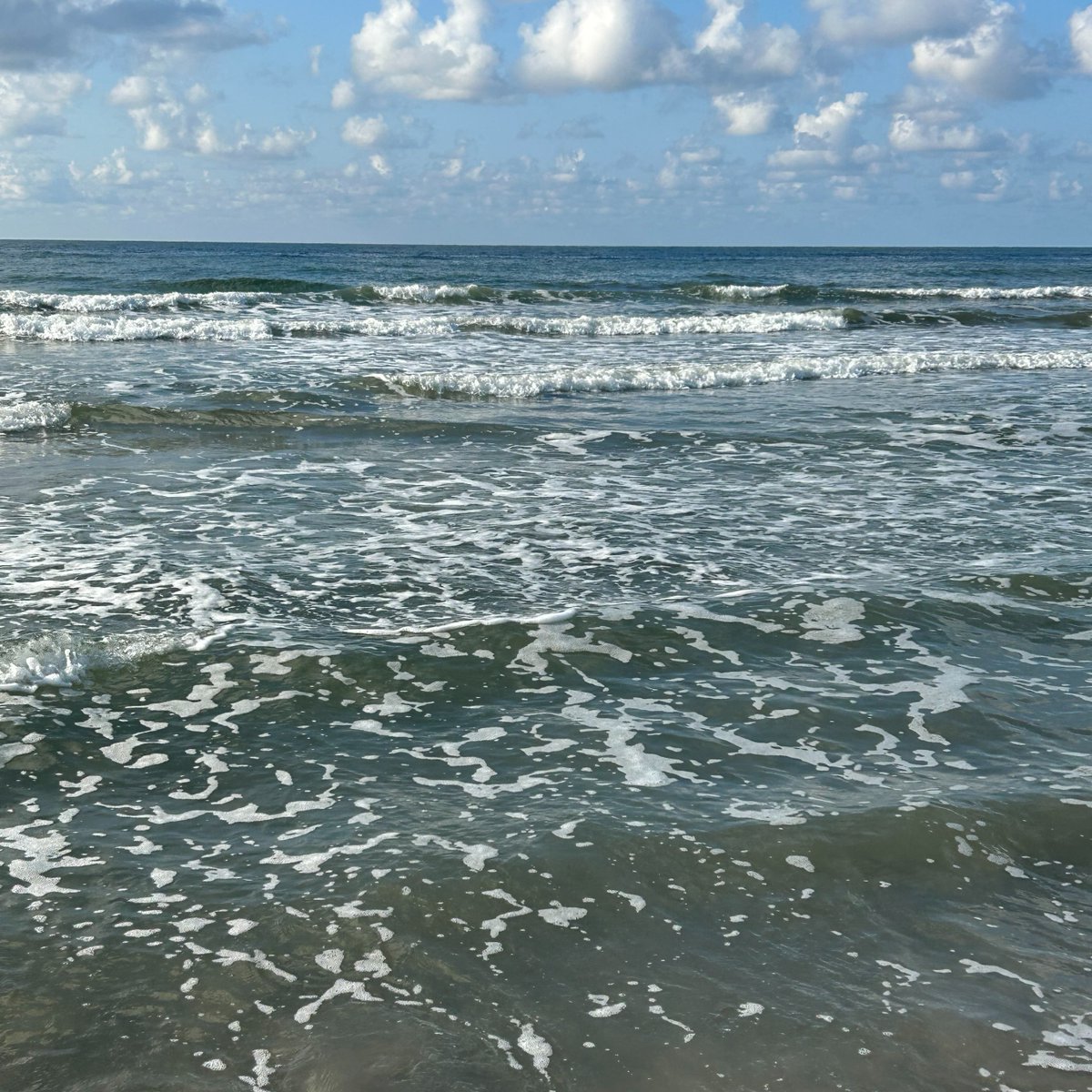 Dustin Helton on Twitter "RT GalvestonIsland Galveston Beach Update Sunny weather and calm