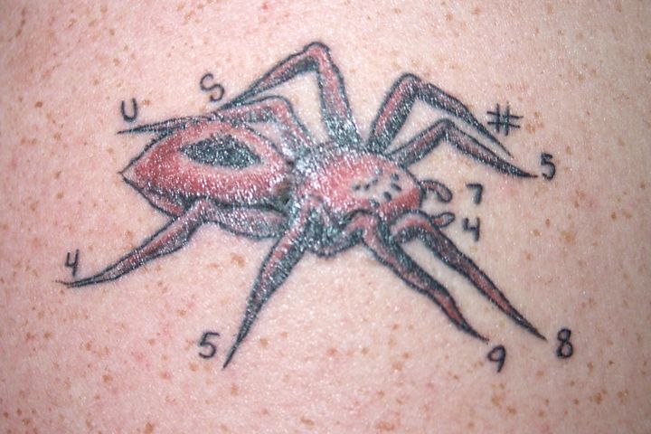 I literally have the Lycos patent number tattooed on my right shoulder.

patents.google.com/patent/US57489…