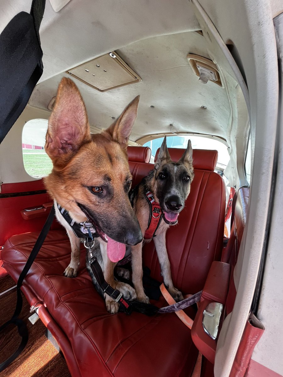 In Louisiana with <a href="/Ace15Ace/">Ace Castle</a>, just finished up the 1st leg for Jonah and Neo heading to their forever homes. Have a great trip home! <a href="/PilotsNPaws/">Pilots N Paws</a>