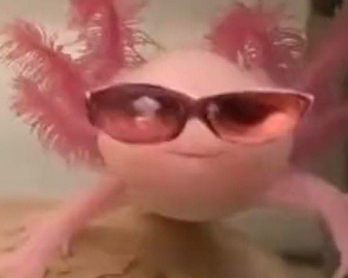 42 followers. Now I’m popular enough to afford orange fanta.