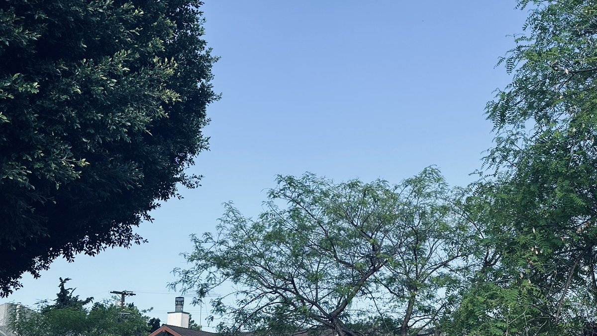 BrianDouglasKNX's tweet photo. Hey @Apple. Your weather app keeps telling me it’s cloudy out? Not mad as I prefer this instead. #myrun https://t.co/JtblizStLM