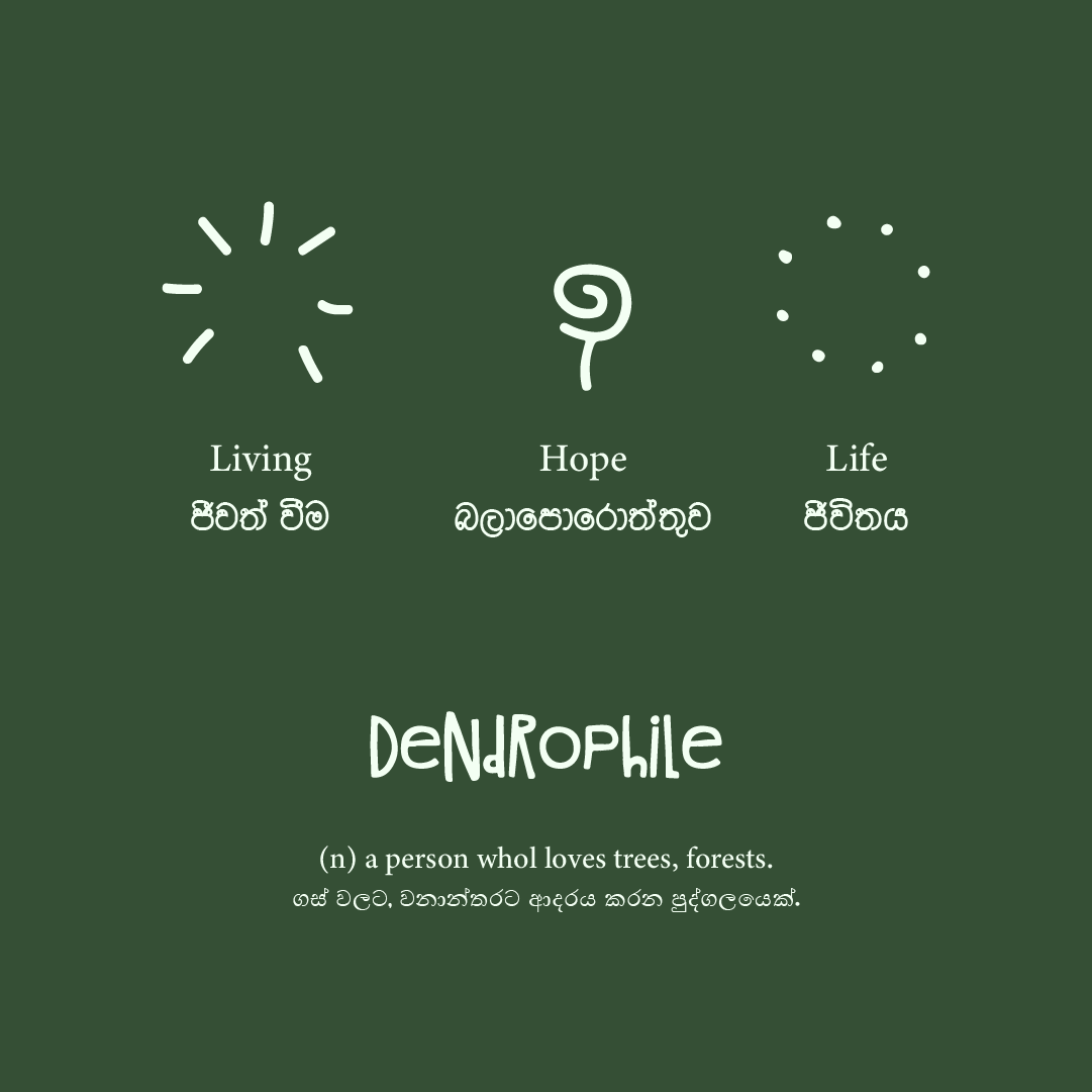 DanushkaCF's tweet photo. A new beginning with Dendrophile 
‘Dendrophile Living’ 🌱 

For the people who truly love trees, forests, eco friendly concepts and peace. We are just about to gift you a range of products under the official brand name of ‘The Dendrophile’  

#thedendrophile #SustainableLiving https://t.co/Yz3VinnIgq