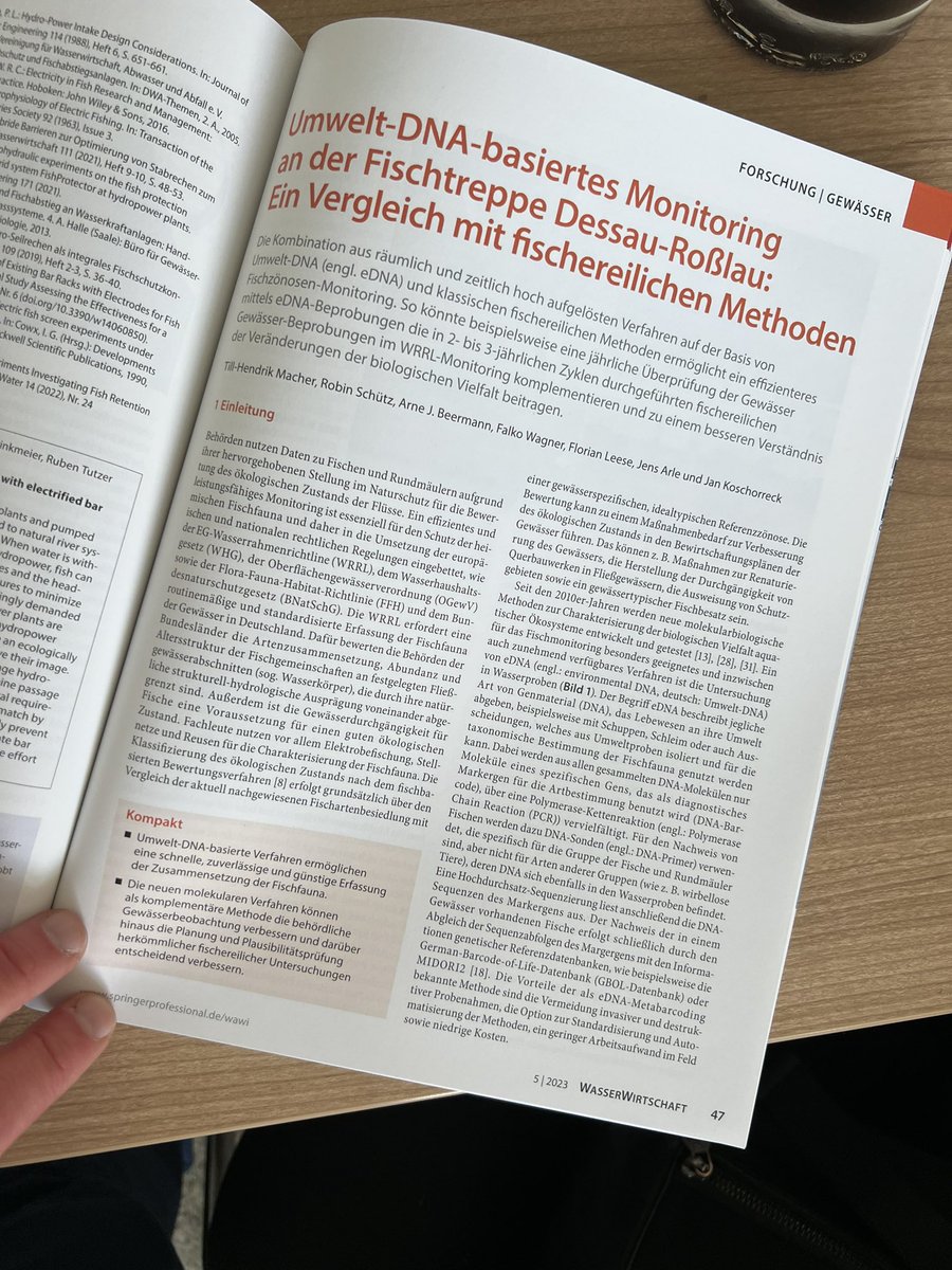 leeselab's tweet photo. Unter Federführung von @TillMacher @unidue in Kooperation mit und gefördert durch @Umweltbundesamt #GeDNA hier mal ein ganz praktischer Beitrag zum Nutzen von #UmweltDNA für das #Fisch #Monitoring. Mehr Infos auf https://t.co/rBsuPWdK7d  &amp; https://t.co/CfiQ74NJye #eDNA 📖 🧬 🐟 https://t.co/JyWUnmYmhH