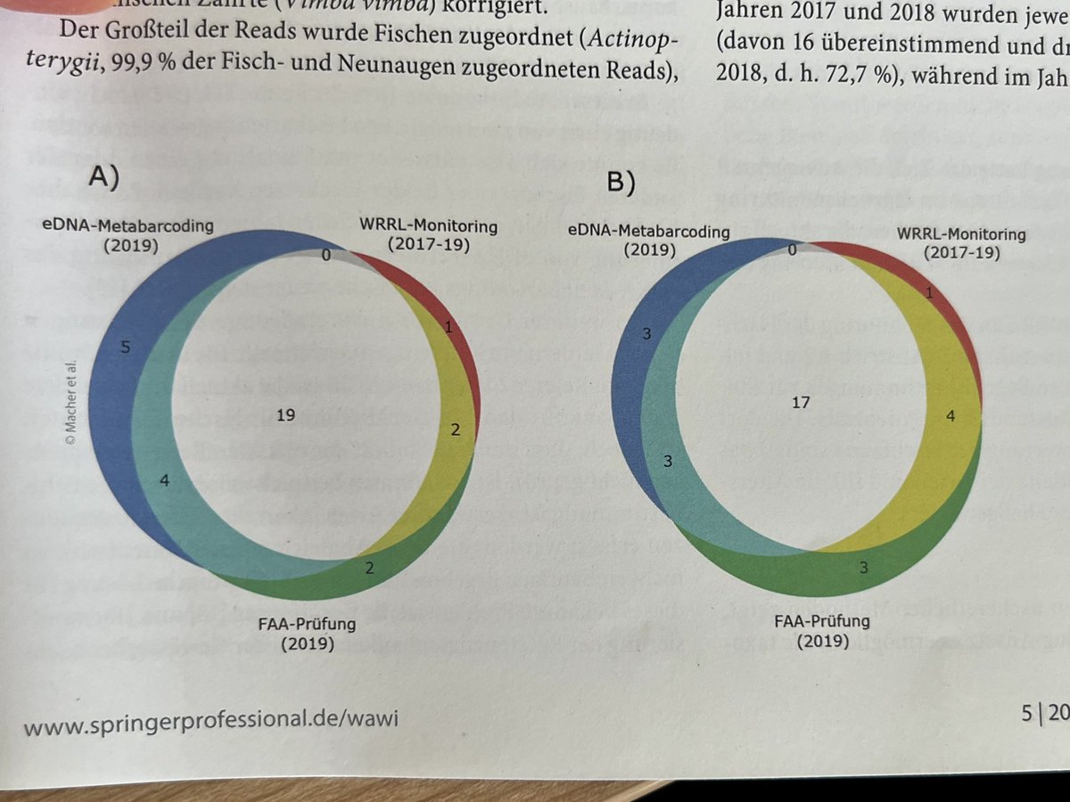 leeselab's tweet photo. Unter Federführung von @TillMacher @unidue in Kooperation mit und gefördert durch @Umweltbundesamt #GeDNA hier mal ein ganz praktischer Beitrag zum Nutzen von #UmweltDNA für das #Fisch #Monitoring. Mehr Infos auf https://t.co/rBsuPWdK7d  &amp; https://t.co/CfiQ74NJye #eDNA 📖 🧬 🐟 https://t.co/JyWUnmYmhH