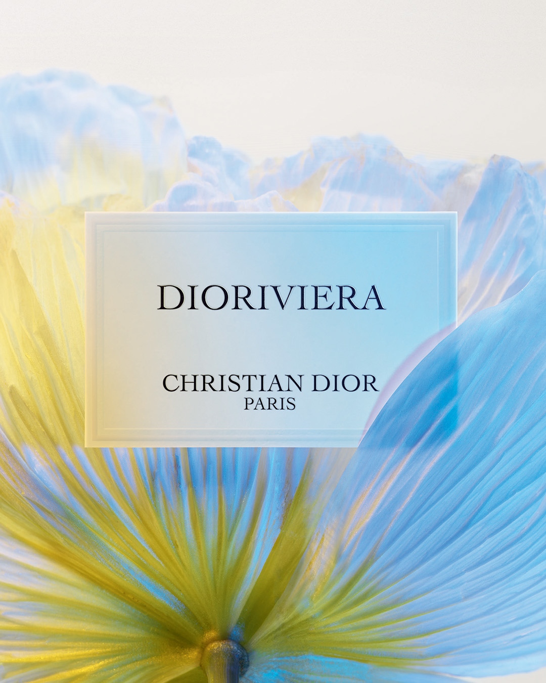 La Collection Privee Christian Dior Parfum book