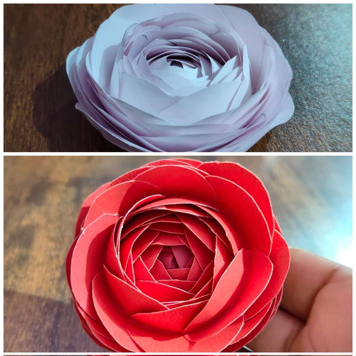 CraftsLina's tweet photo. https://t.co/1Qc97YYu0n
Easy steps to make Paper Rose
#crafts #handmade #diy #crafting #crafty #creative #homedecor #handcrafted #artist #design #gifts #diycrafts #paperroseflower #artsandcrafts #giftideas #instagood #arts #homemade #decor #artwork #papercraft #paperrose https://t.co/JRzjzDPkwm