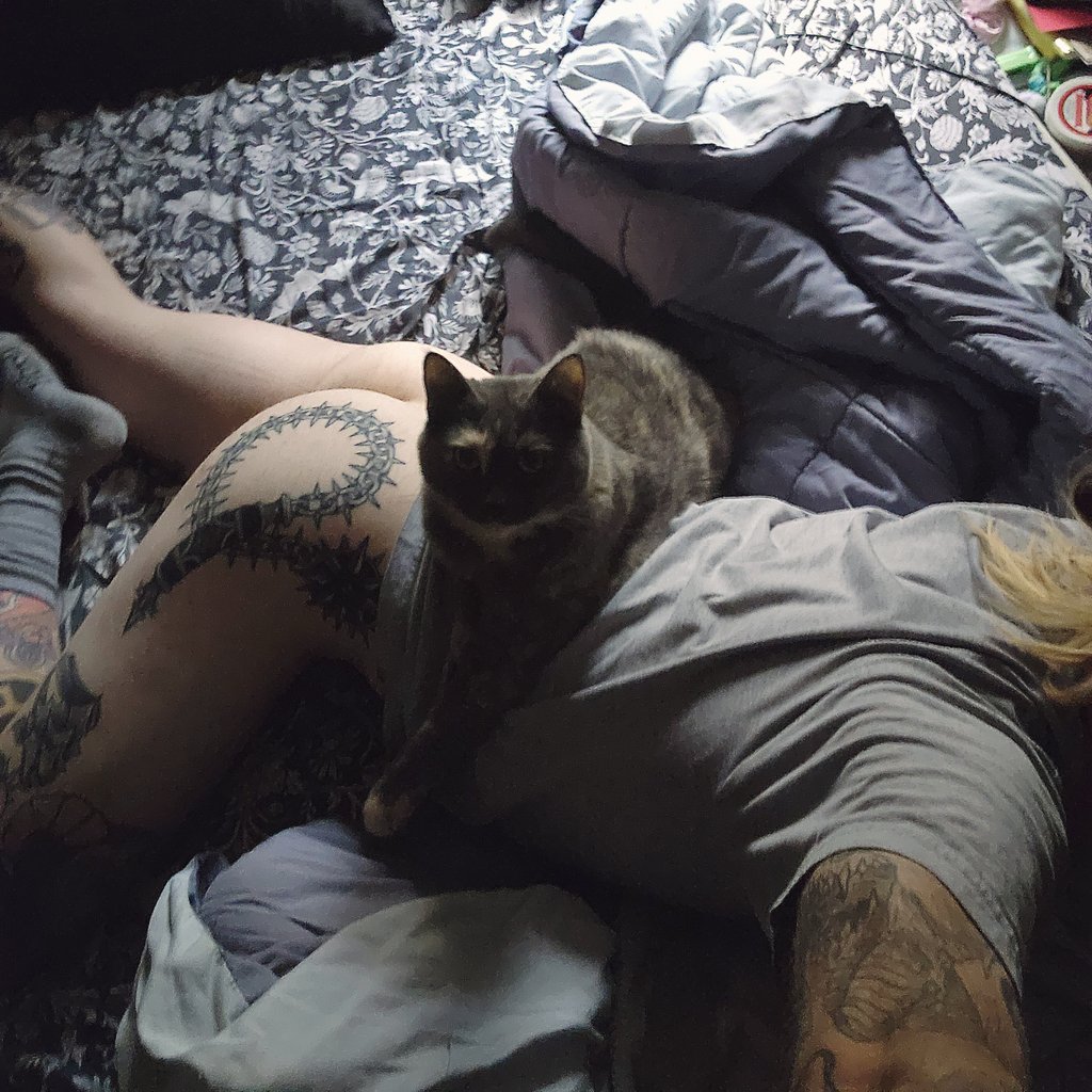 Content from boy_constrictor