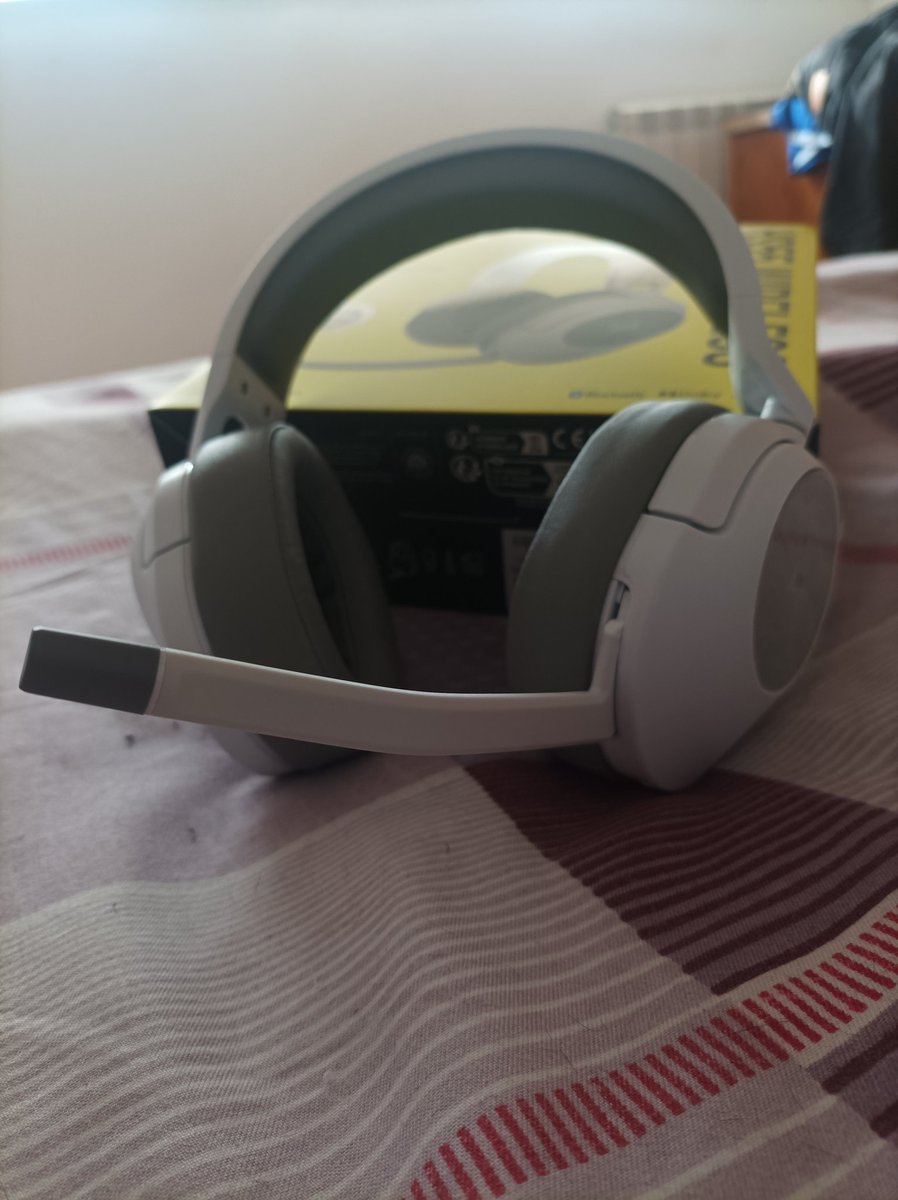 Guillermo Kasty tweet media