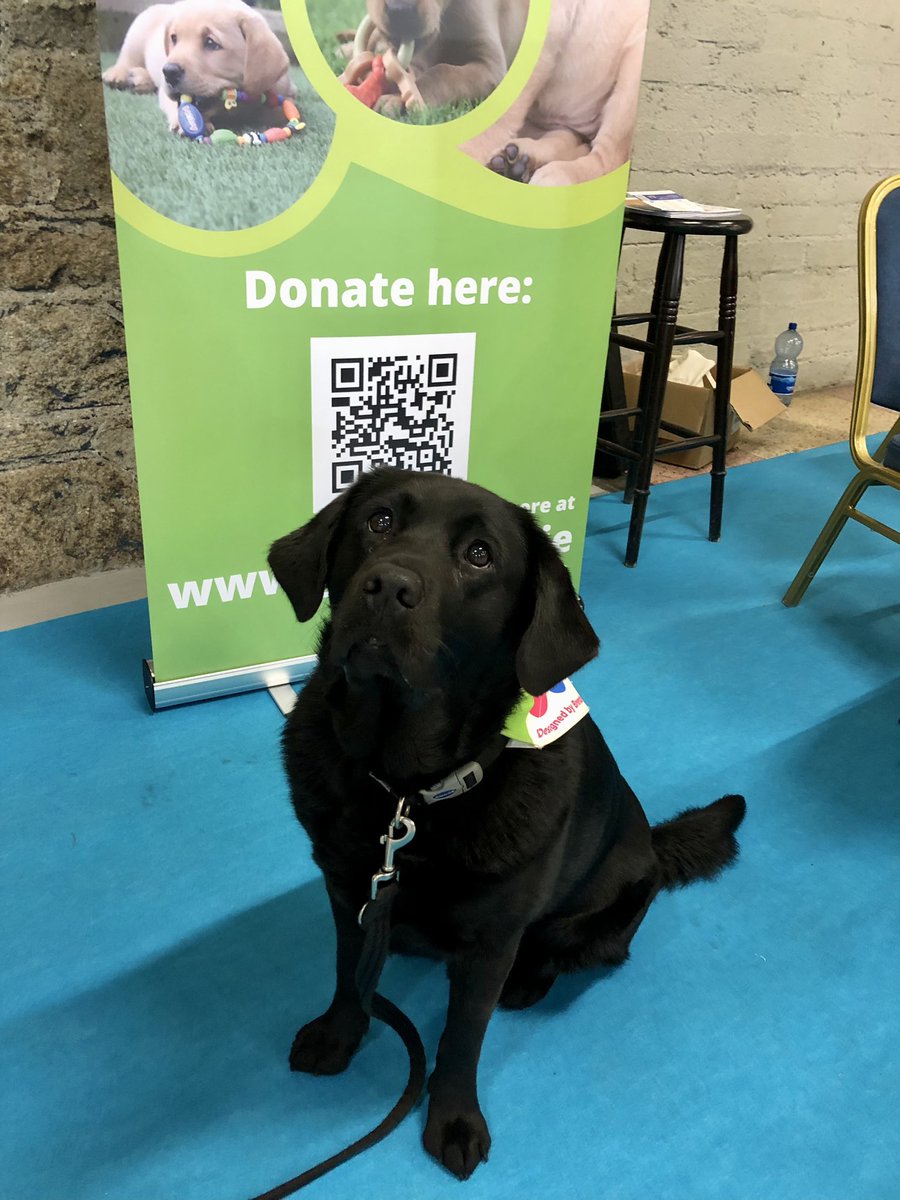 The best content all day at #DTS2023 🥹 @irishguidedogs