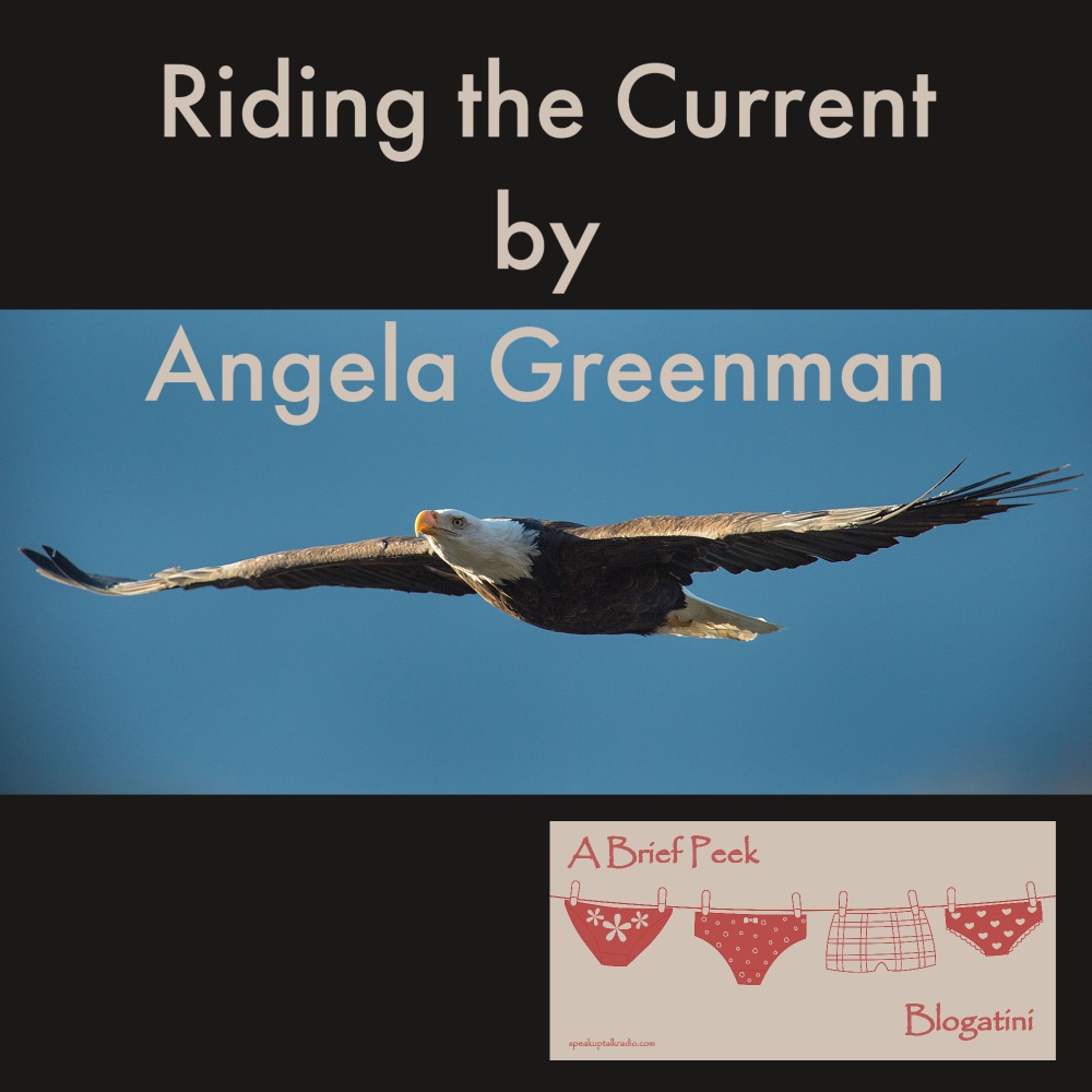 speakupradioh's tweet photo. Today's inspiring #Blogatini - Angela says-
"From my troubled childhood, I learned to ride the current … the powerful force in nature that says the strongest will survive."
🦅https://t.co/kTShNUJAex🦅

 #inspiration #inspiringwriters #writinginspiration #blogatini 

2h https://t.co/iK4cMCZqIy