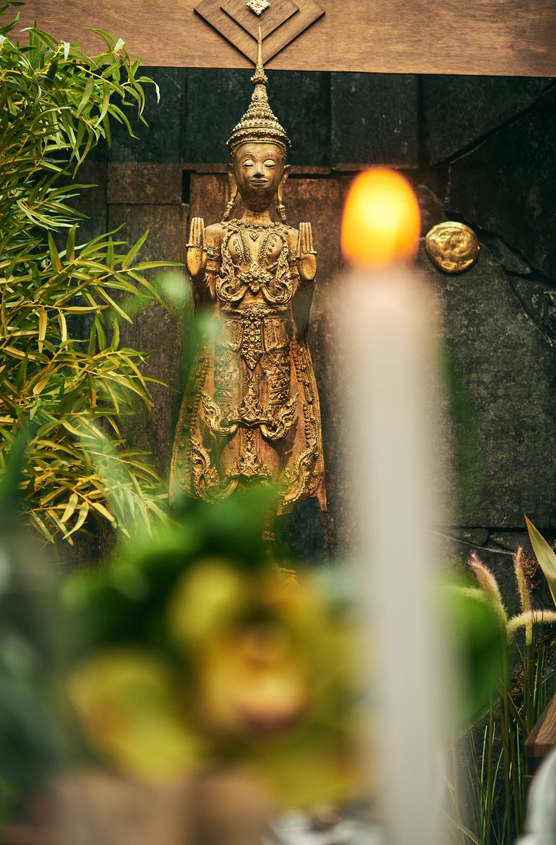 🌿 Todas las propuestas del Grupo Thai Emotion, desde el emblemático Thai Garden 🏯, el restaurante privado Diamantes de Sal Rosa 💎🧂, hasta Delivery Experience 🚴‍♂️📦, te transportarán al refinamiento y exotismo del antiguo reino de Siam 🏰🌺 

✅ ¡Haz tu pedido!  📞  623 215 197