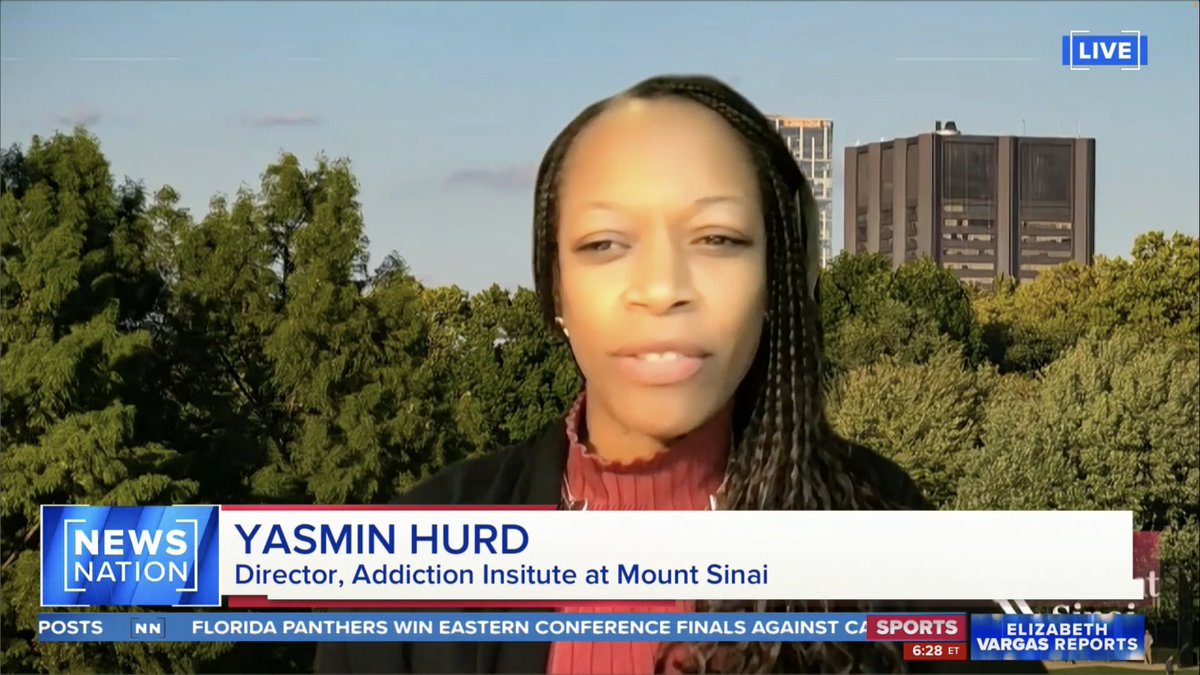 MISSED IT? On @NewsNation's @EVargasTV, #MountSinai’s Dr. Yasmin Hurd @neurovoice discusses @NIH study that found #Marijuana today is much stronger than few years ago & may be causing psychosis among young adults, especially boys. Dr. Hurd’s interview👉 newsnationnow.com/video/expert-n…