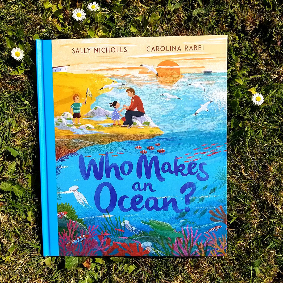 Who Makes an Ocean? Find out tomorrow when this beauty hits the shelves !! @Sally_Nicholls @CarolinaRabei @AndersenPress 🌊🌊🐟🐬🐠🐡🐳🐙🦞🦐🐋🦀🧜🏻‍♀️