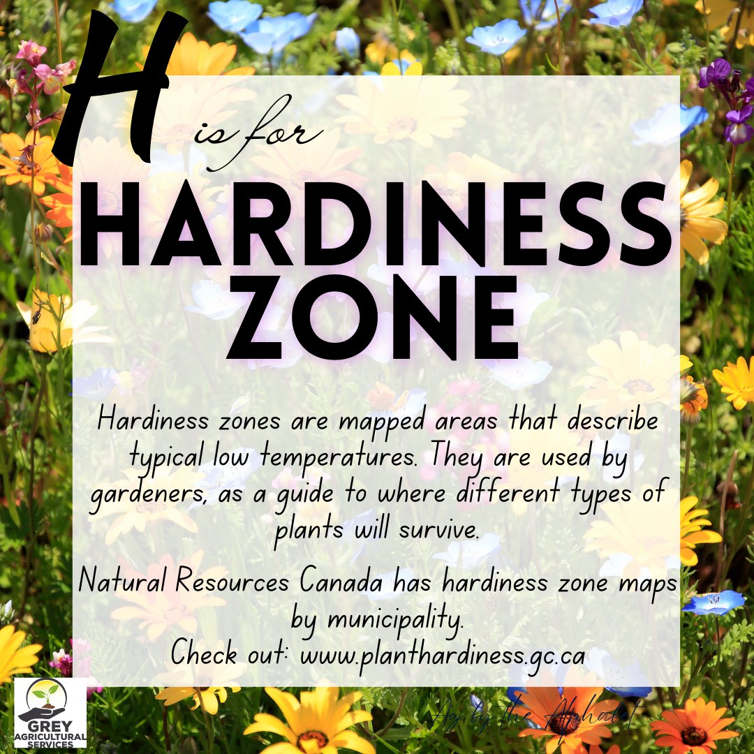 Are you doing any gardening this year? According to the maps on planthardiness.gc.ca  most of Grey and Bruce Counties fall into the 5a, 5b and 6a hardiness zones. Good to keep in mind when selecting perennials! 
#GreyAg #Farm365 #Ontag