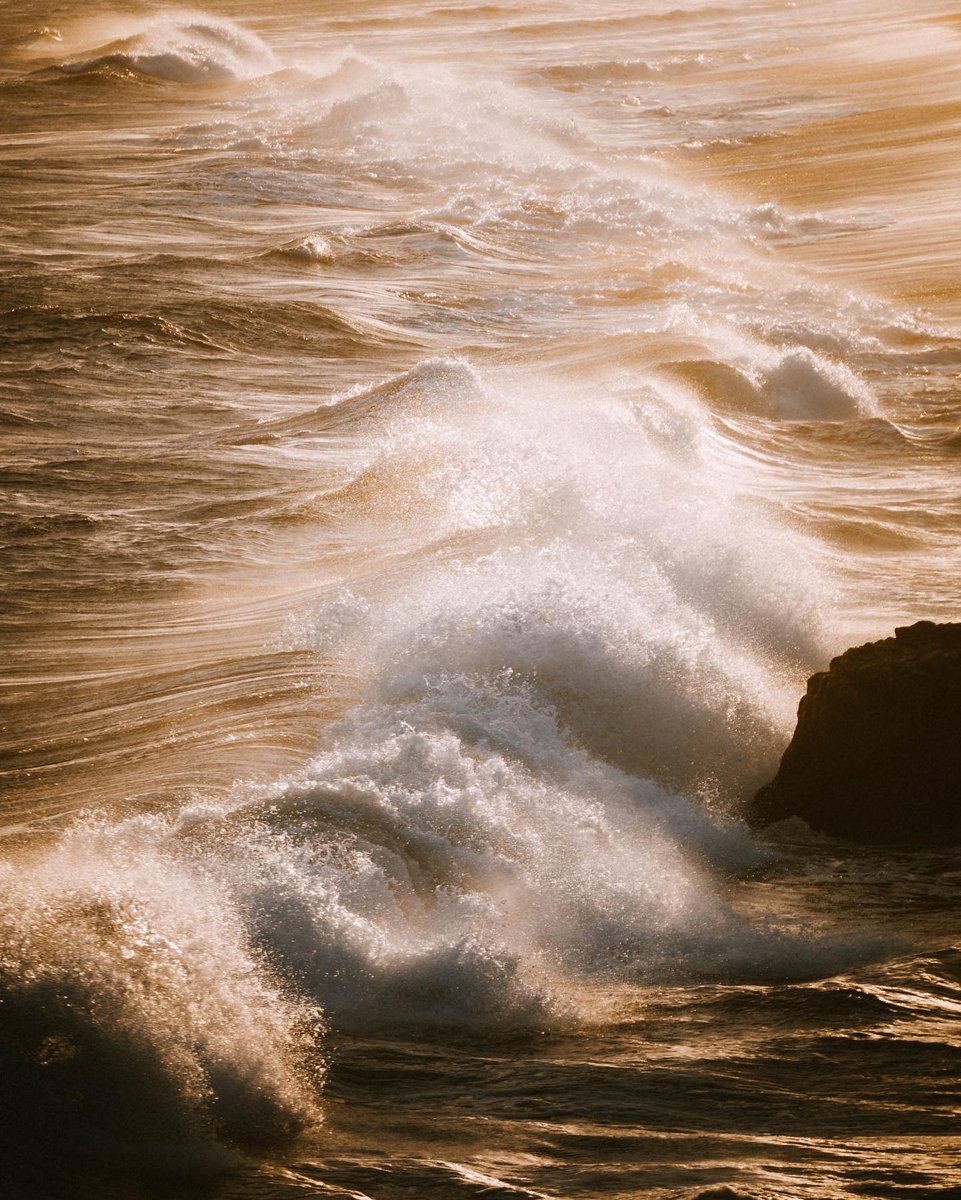 Ravi Vora tweet media