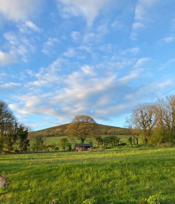 Danny Kelly tweet media