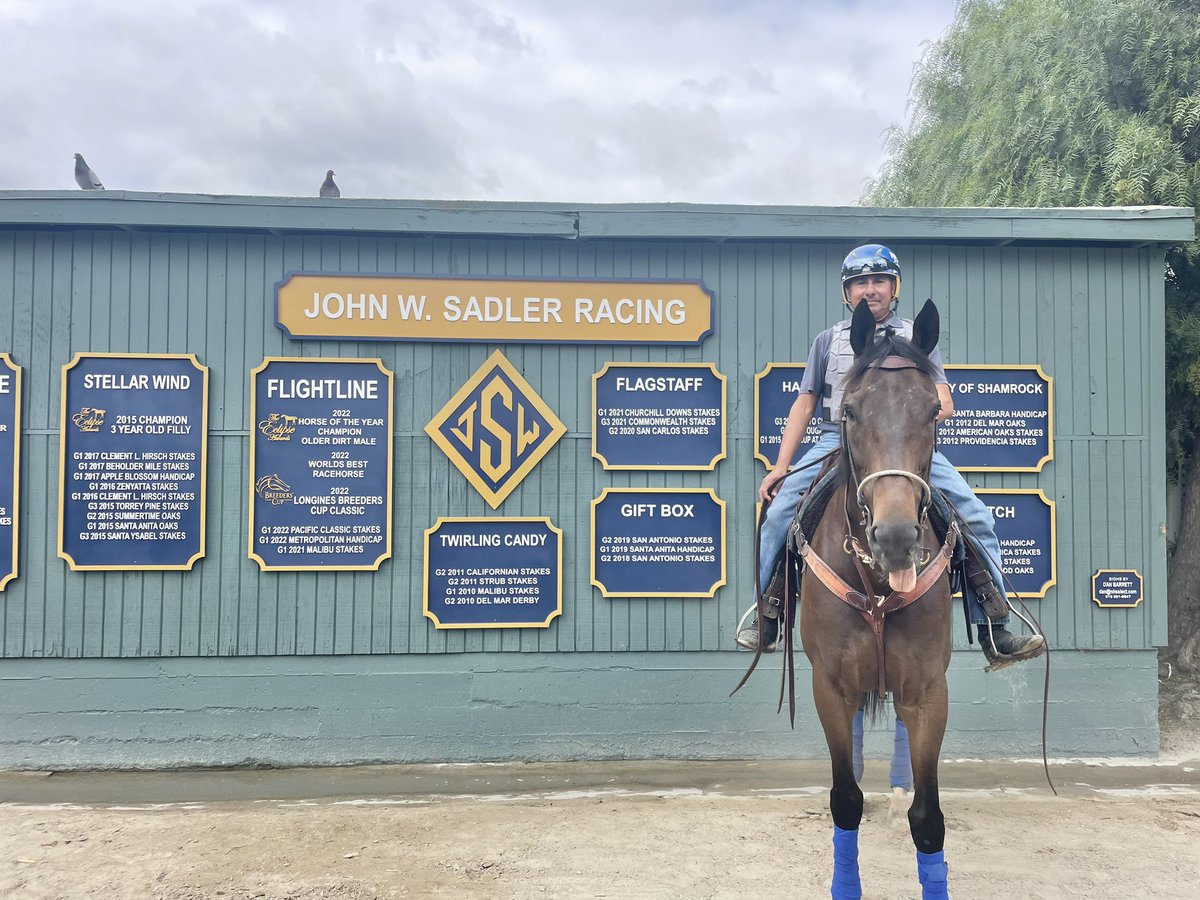 zoecadman's tweet photo. Loving the new signage @sadlerracing - but even better is stable pony G1 winner  FLAGSTAFF posing next to “his”Signage @santaanitapark https://t.co/c4ZBvnG9lG