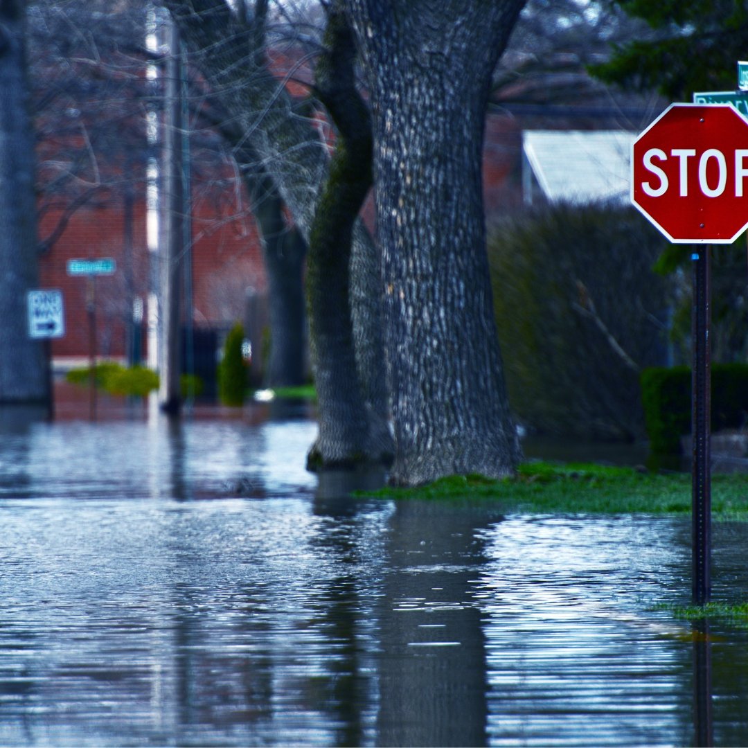 columbiaclimate's tweet photo. Students grades 9-12, undergrads, educators, the public, join @columbiaclimate Center for Sustainable Urban Development's Paul Gallay Jun 14 4pm ET for #ClimateLIVE #K12 Harnessing the Power of Communities to Fight Flooding & Protect our Waterways. RSVP: https://t.co/SuHmpowF8d https://t.co/MvHlKEvN0X