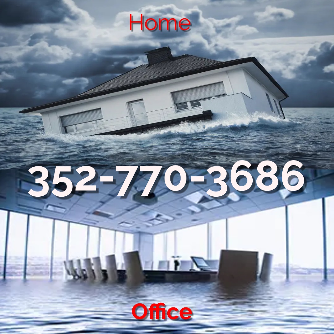 MoldAlertFL's tweet image. Have a mold issue caused by water damage? Give Mold Alert - Air Quality Inspections &amp;amp; Testing a call today to schedule your test with same day results! 352-770-3586